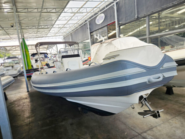 LED 32 GS (DEMO)+X2 EVINRUDE G2 150CV - immagine 4